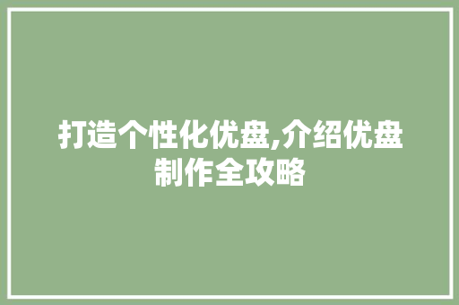 打造个性化优盘,介绍优盘制作全攻略