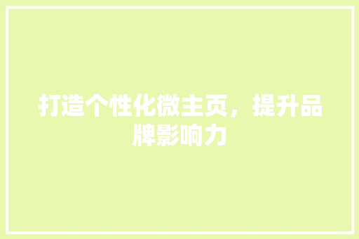 打造个性化微主页，提升品牌影响力 SEO教程