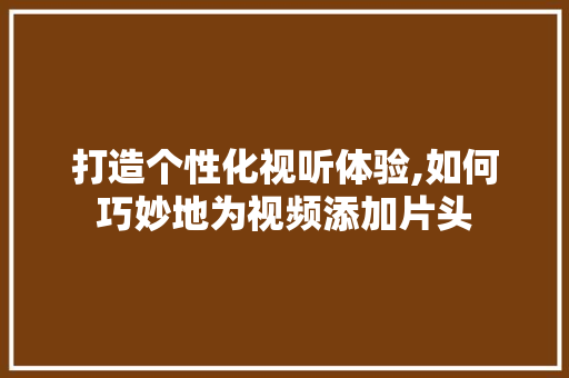 打造个性化视听体验,如何巧妙地为视频添加片头