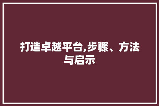 打造卓越平台,步骤、方法与启示