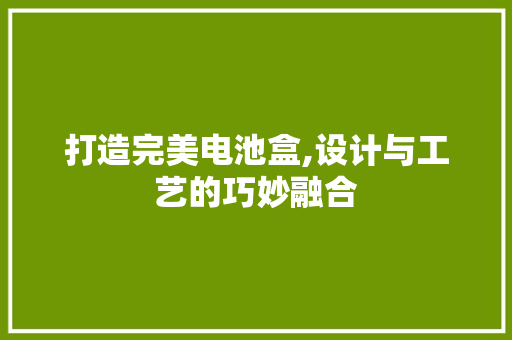 打造完美电池盒,设计与工艺的巧妙融合