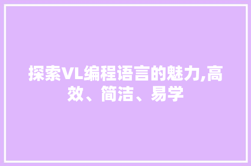 探索VL编程语言的魅力,高效、简洁、易学