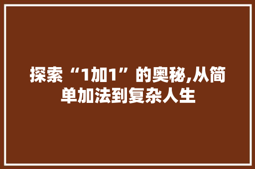 探索“1加1”的奥秘,从简单加法到复杂人生
