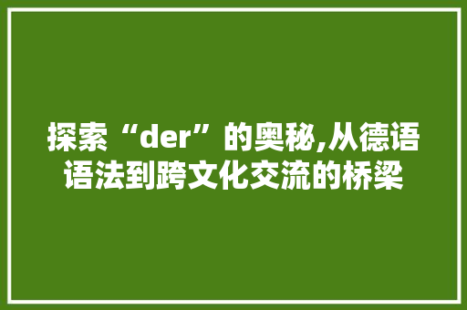 探索“der”的奥秘,从德语语法到跨文化交流的桥梁