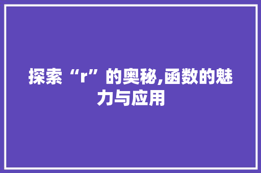 探索“r”的奥秘,函数的魅力与应用