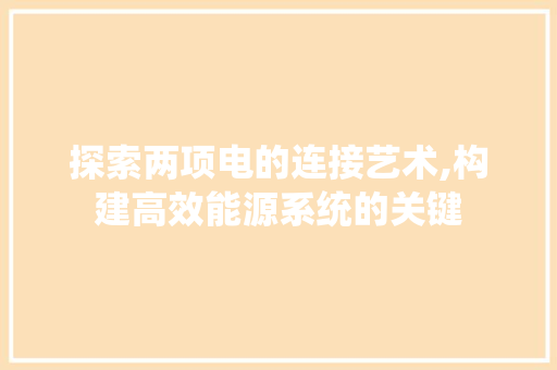 探索两项电的连接艺术,构建高效能源系统的关键