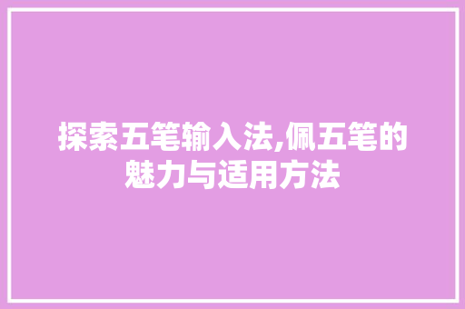 探索五笔输入法,佩五笔的魅力与适用方法