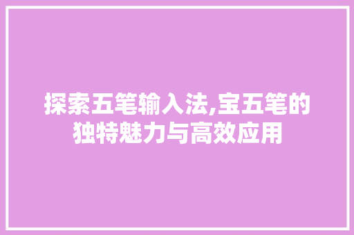 探索五笔输入法,宝五笔的独特魅力与高效应用