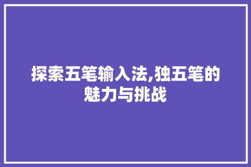 探索五笔输入法,独五笔的魅力与挑战