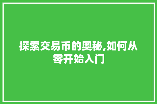 探索交易币的奥秘,如何从零开始入门