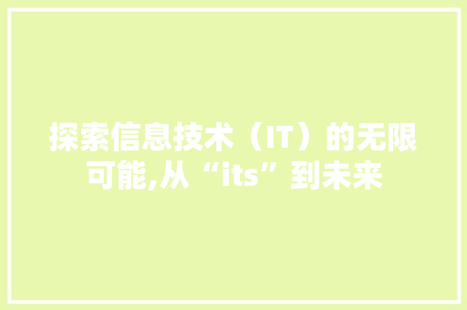 探索信息技术（IT）的无限可能,从“its”到未来