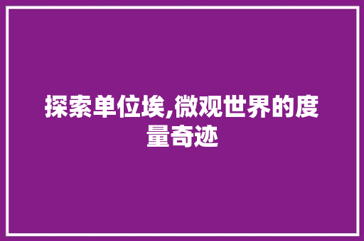探索单位埃,微观世界的度量奇迹