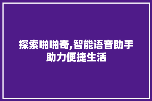 探索啪啪奇,智能语音助手助力便捷生活 WordPress教程