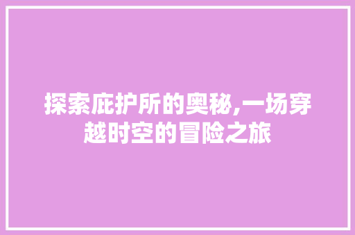 探索庇护所的奥秘,一场穿越时空的冒险之旅