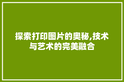 探索打印图片的奥秘,技术与艺术的完美融合