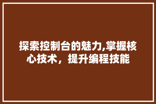 探索控制台的魅力,掌握核心技术，提升编程技能