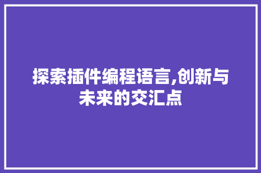 探索插件编程语言,创新与未来的交汇点