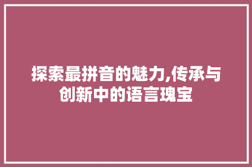 探索最拼音的魅力,传承与创新中的语言瑰宝