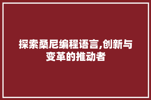 探索桑尼编程语言,创新与变革的推动者