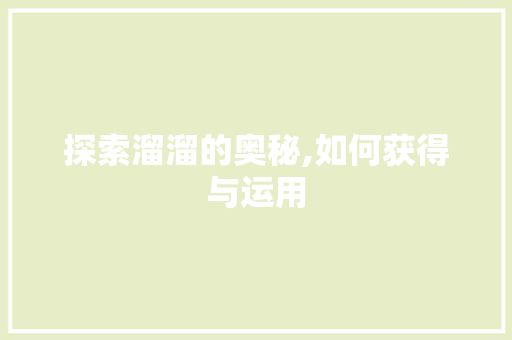 探索溜溜的奥秘,如何获得与运用