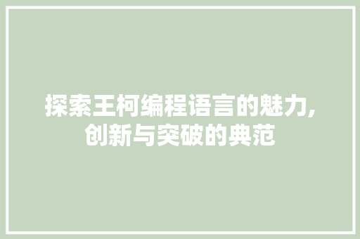 探索王柯编程语言的魅力,创新与突破的典范 建站教程