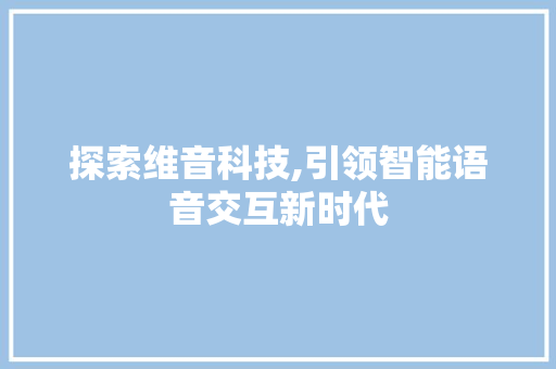 探索维音科技,引领智能语音交互新时代 Web前端