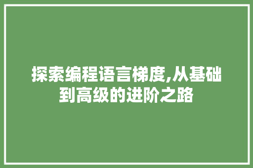 探索编程语言梯度,从基础到高级的进阶之路