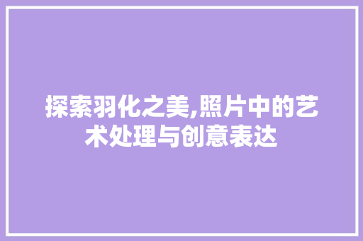 探索羽化之美,照片中的艺术处理与创意表达