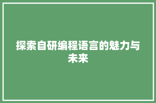 探索自研编程语言的魅力与未来 Web前端