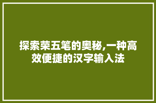 探索荣五笔的奥秘,一种高效便捷的汉字输入法