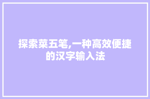 探索菜五笔,一种高效便捷的汉字输入法