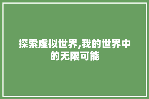 探索虚拟世界,我的世界中的无限可能