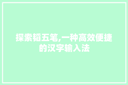 探索韬五笔,一种高效便捷的汉字输入法