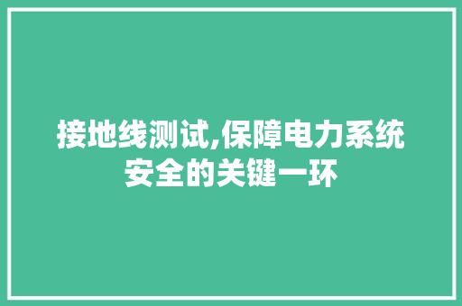 接地线测试,保障电力系统安全的关键一环