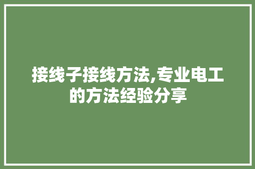 接线子接线方法,专业电工的方法经验分享