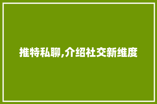 推特私聊,介绍社交新维度 建站教程