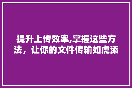 提升上传效率,掌握这些方法，让你的文件传输如虎添翼