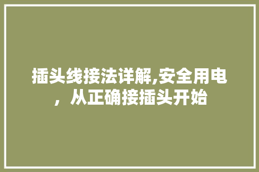 插头线接法详解,安全用电，从正确接插头开始 WordPress教程
