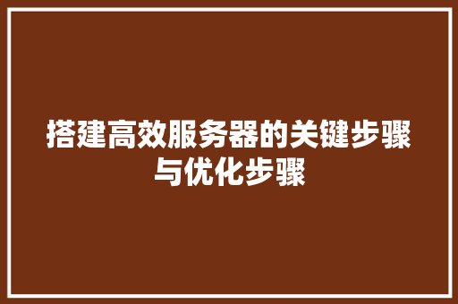 搭建高效服务器的关键步骤与优化步骤