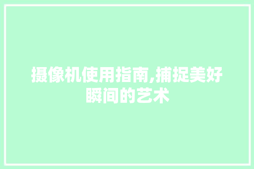 摄像机使用指南,捕捉美好瞬间的艺术