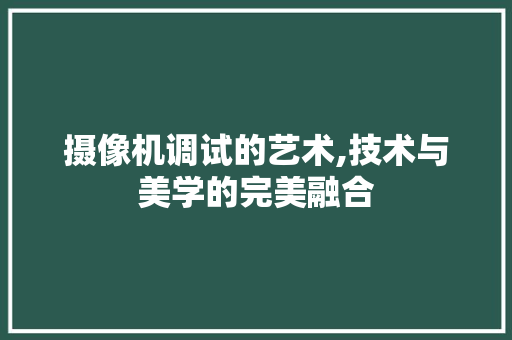 摄像机调试的艺术,技术与美学的完美融合