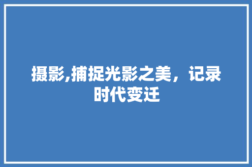 摄影,捕捉光影之美，记录时代变迁 服务器/数据库