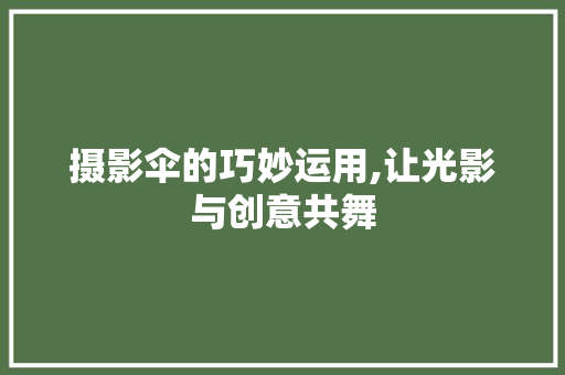 摄影伞的巧妙运用,让光影与创意共舞