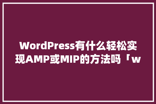 WordPress有什么轻松实现AMP或MIP的方法吗「wordpress汉化工具」 WordPress有什么轻松实现AMP或MIP的方法吗「wordpress汉化工具」 SEO教程