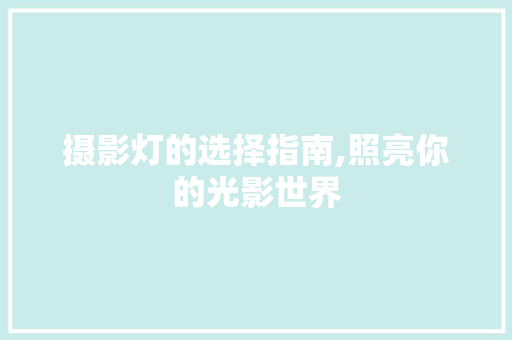 摄影灯的选择指南,照亮你的光影世界 建站教程
