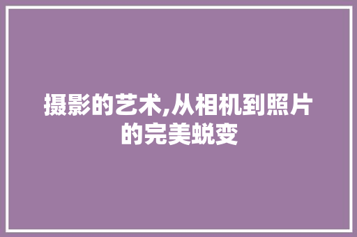 摄影的艺术,从相机到照片的完美蜕变