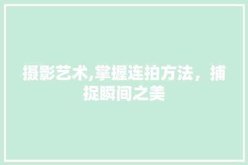 摄影艺术,掌握连拍方法，捕捉瞬间之美