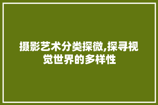摄影艺术分类探微,探寻视觉世界的多样性