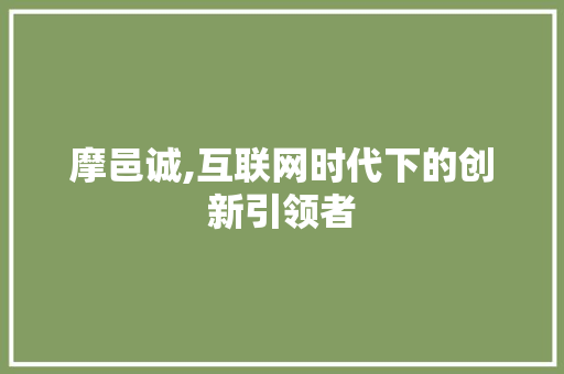 摩邑诚,互联网时代下的创新引领者