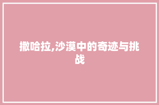 撒哈拉,沙漠中的奇迹与挑战